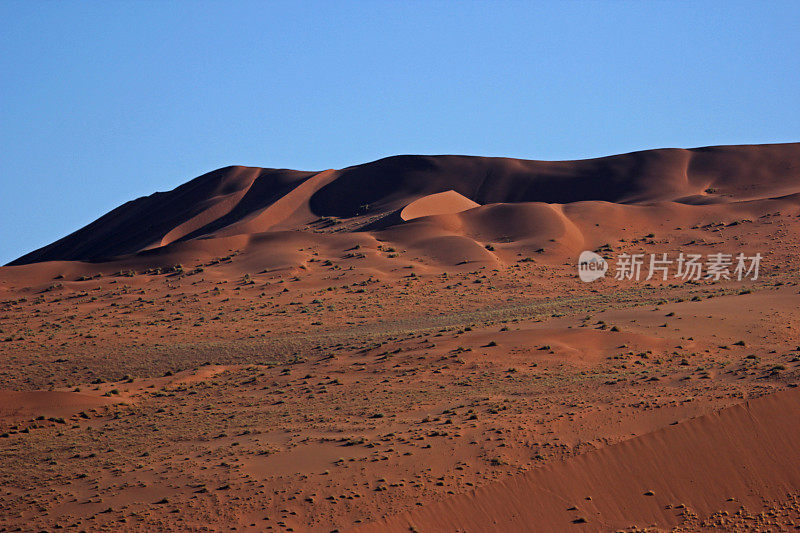 纳米比亚:美丽的红色沙丘在纳米布沙漠