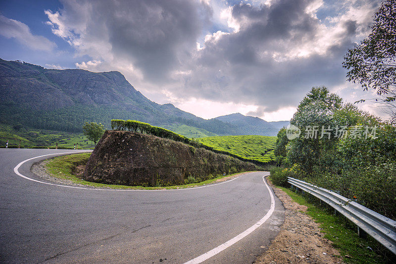 印度南部Munnar茶园的道路和景观，在那里的背景中可以看到西高铁山脉。