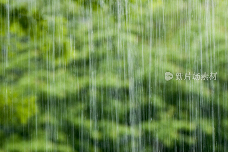 森林里暴雨的模糊景象