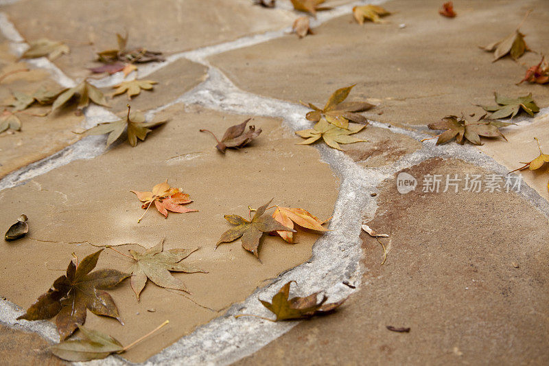 落叶散落在石板路上