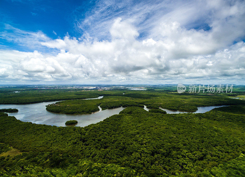 航空拍摄的亚马逊雨林在巴西，南美
