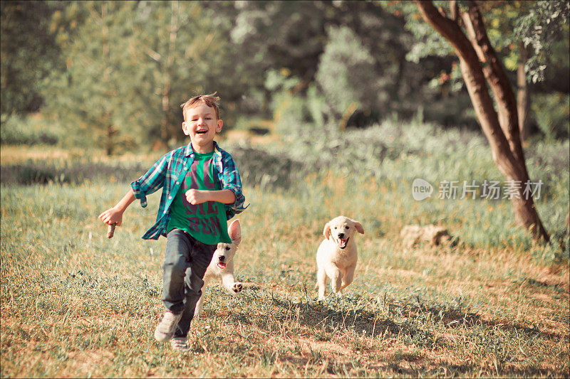 可爱英俊的男孩少年与令人惊叹的白粉色拉布拉多寻回小狗玩户外享受夏天晴天假期周末充满幸福。快乐微笑的孩子和最好的朋友