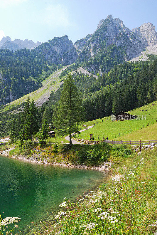奥地利哥绍的山脉和湖泊