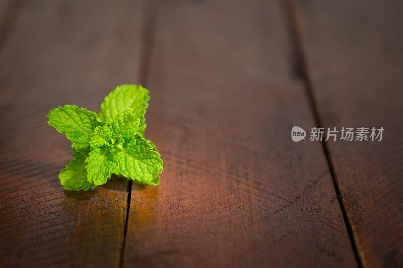 一个新鲜的薄荷植物的特写