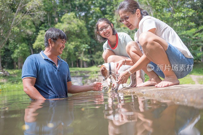 亚洲家庭玩好玩的杰克罗素梗狗在瀑布在夏天的早晨