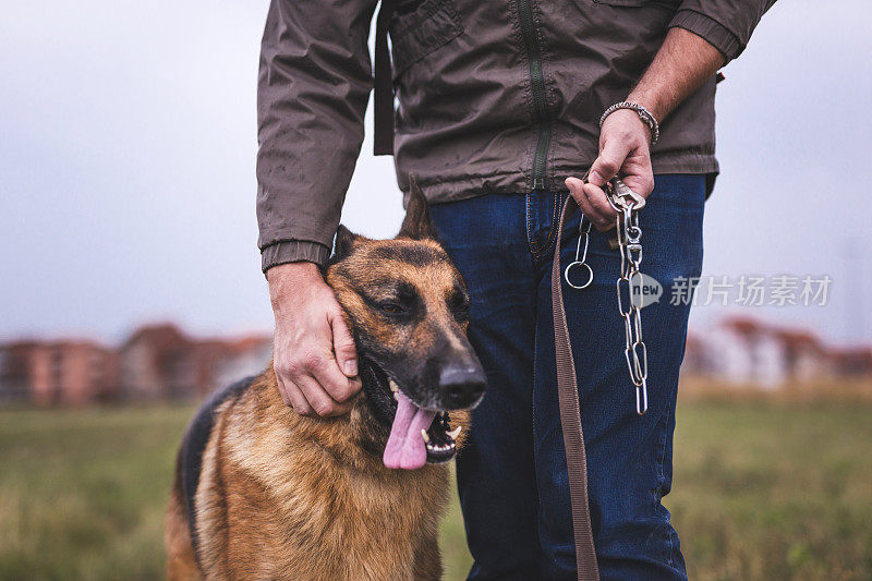 德国牧羊犬和主人在散步