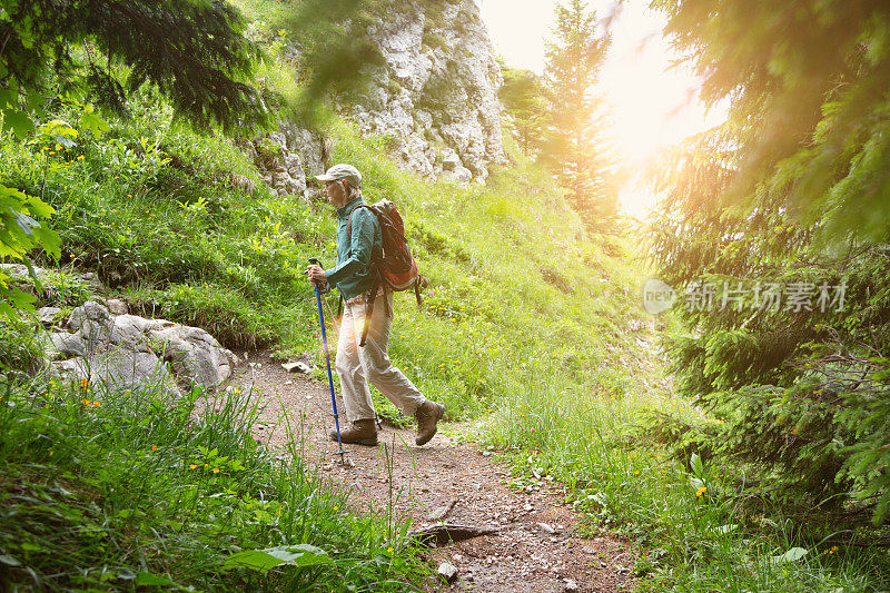 老翁在高山地区的树林里徒步旅行