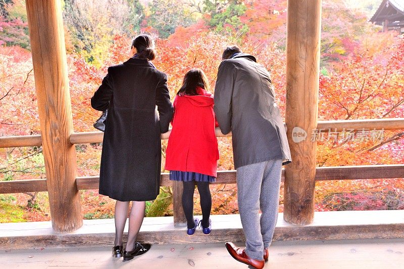 日本家庭在京都东福寺欣赏日本秋叶