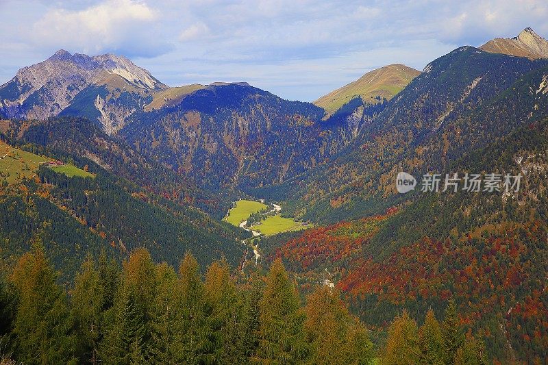 秋天的松树林地景观-奥地利蒂罗尔的因斯布鲁克乡村