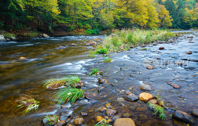 佛蒙特州青山中的新英格兰溪流和秋叶