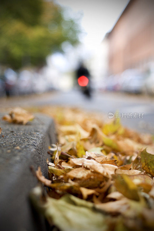 秋叶落在街头的都市景象