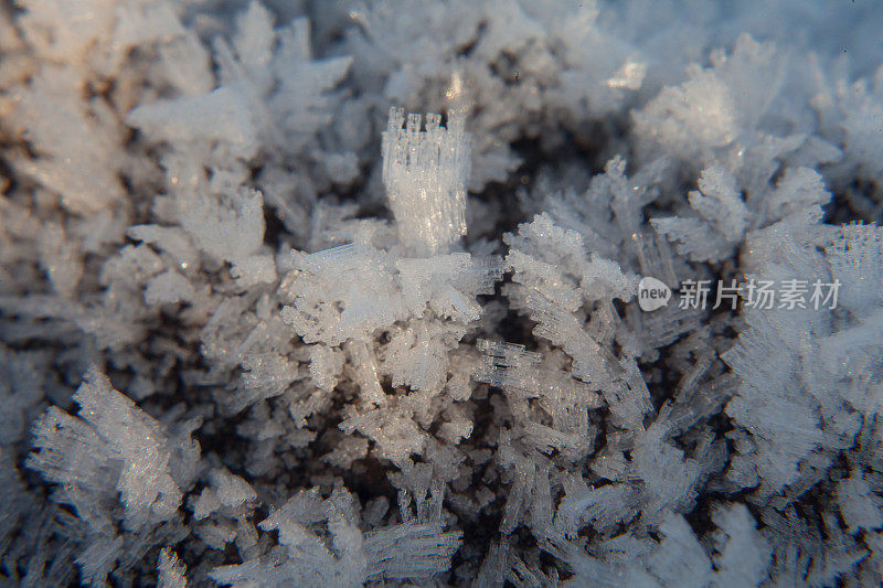 雪近了，冬天来了