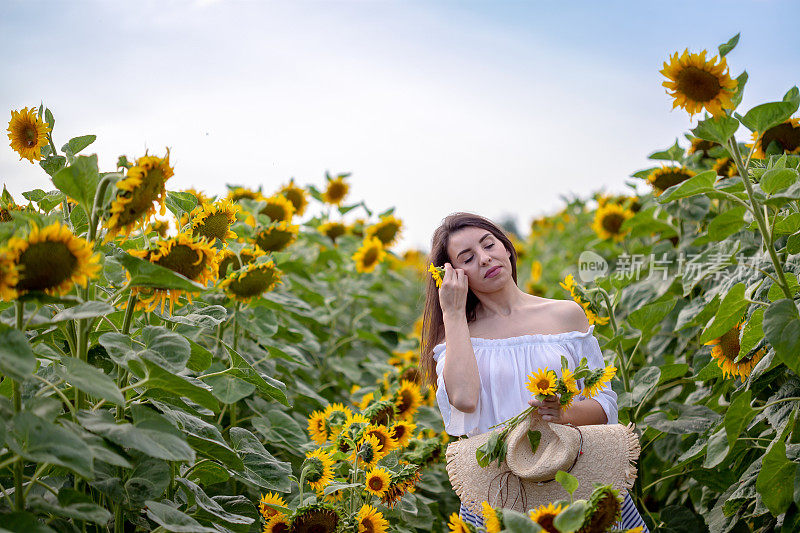 向日葵地里的美丽姑娘