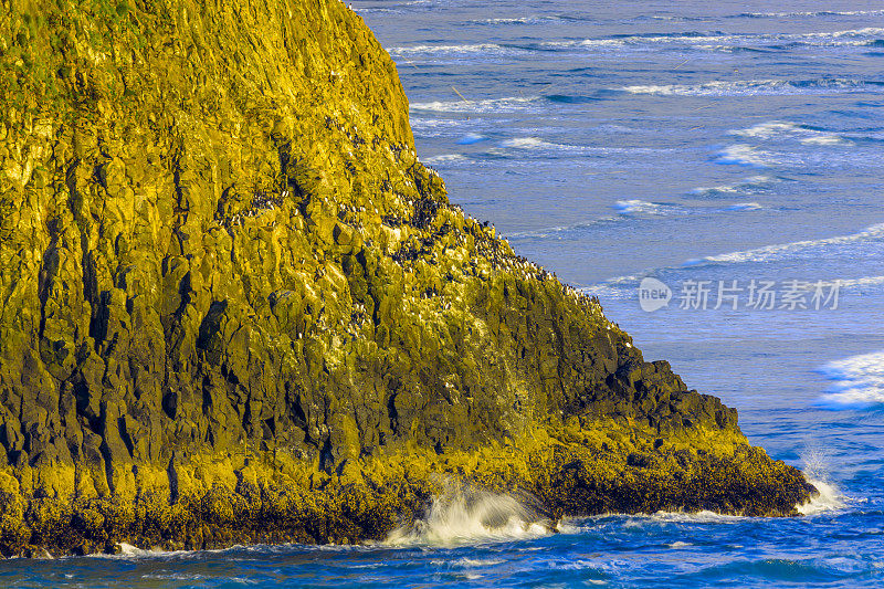 美国俄勒冈州沿海地区