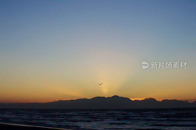 日出前，在山脉和海洋上空飞翔的海鸥