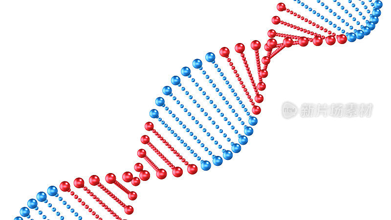 DNA双螺旋变化