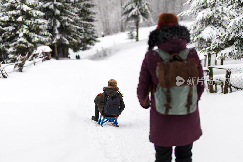 妇女们在山上用雪橇滑行