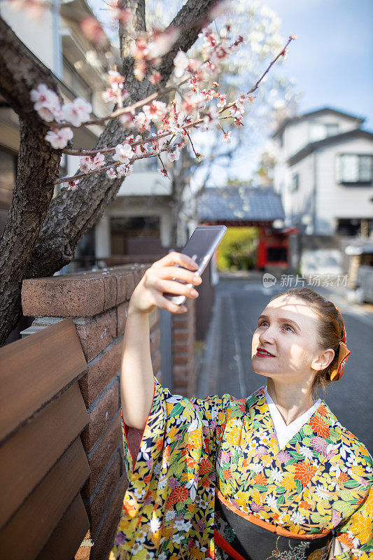 年轻的白人妇女在传统的日本街道上穿着和服拍摄梅花