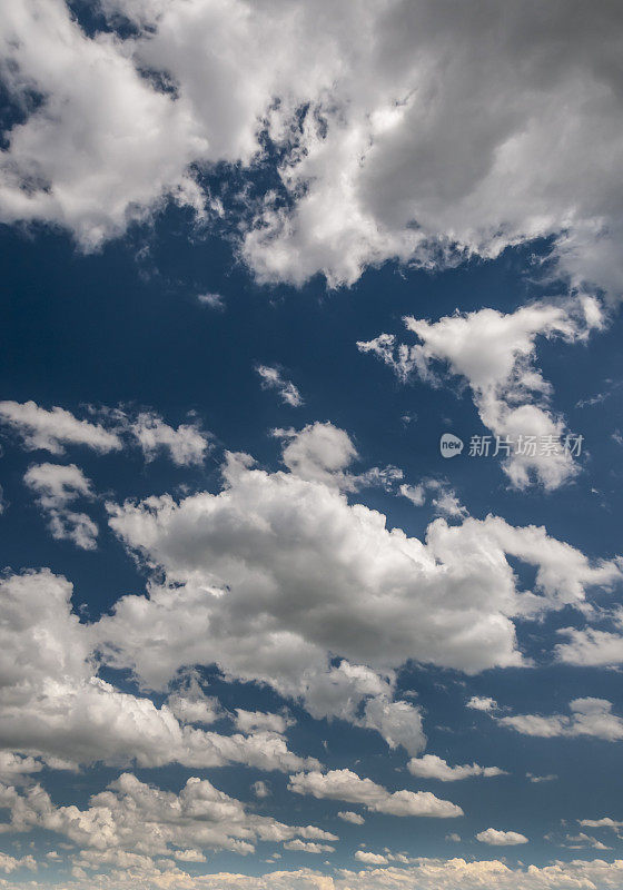 夏日蔚蓝的天空中漂浮着大片蓬松的积云