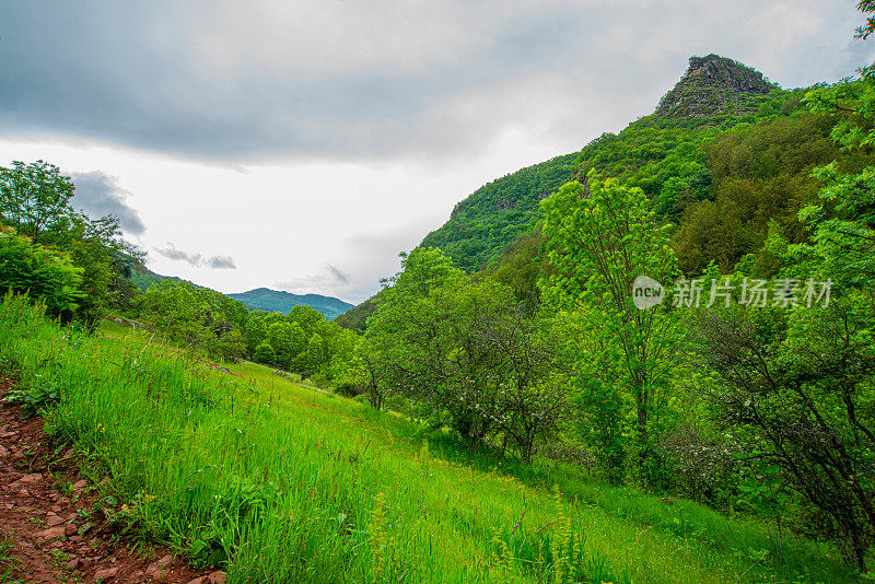 蜿蜒的道路在老山或斯达拉平原的乡间穿行