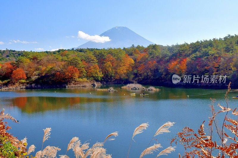 富士五湖秋叶色:正二湖