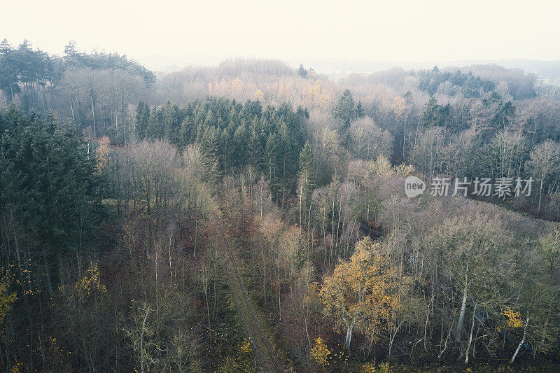 丹麦的秋天风景