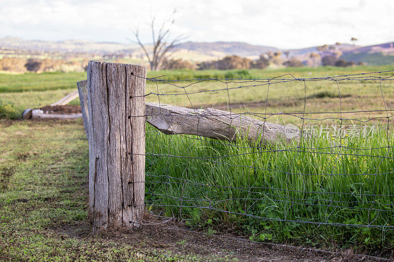 在一片绿色的田野里，一个陈旧的、腐烂的篱笆栅栏上挂着一些带刺的铁丝