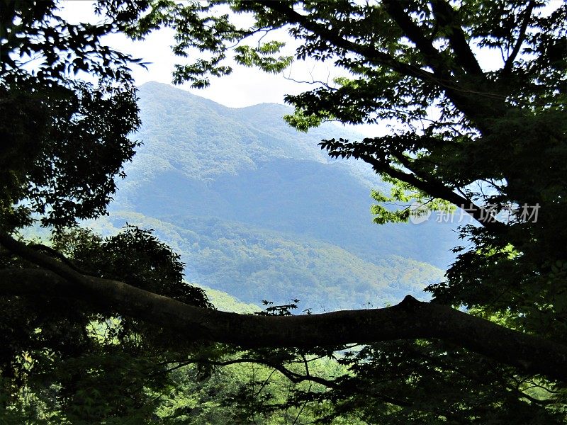 日本。8月。大自然的窗口。从茨城县筑波高地的一个山丘上观看。