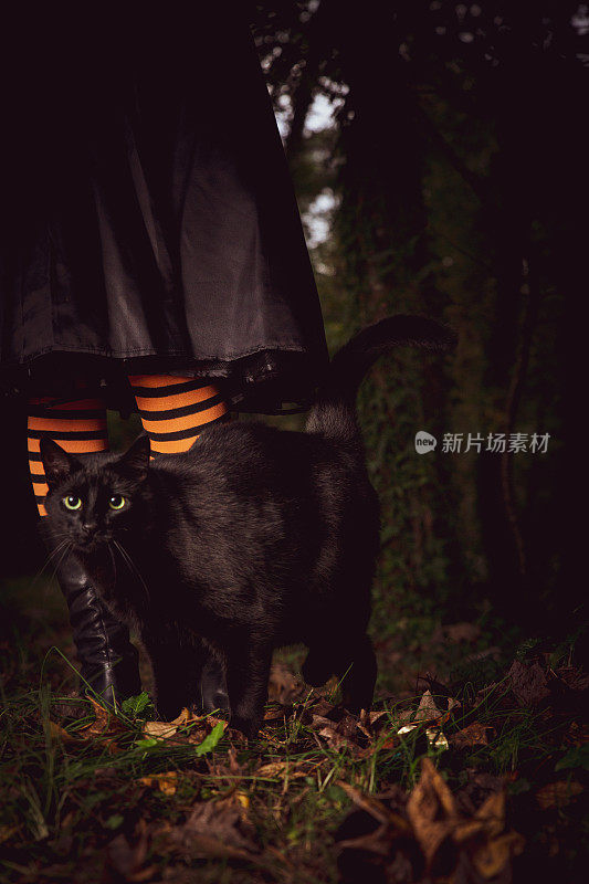 穿着橙色和黑色袜子的女巫，旁边是一只黑猫