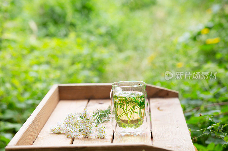 用未栽培的蓍草或千叶蓍草制成的草本茶