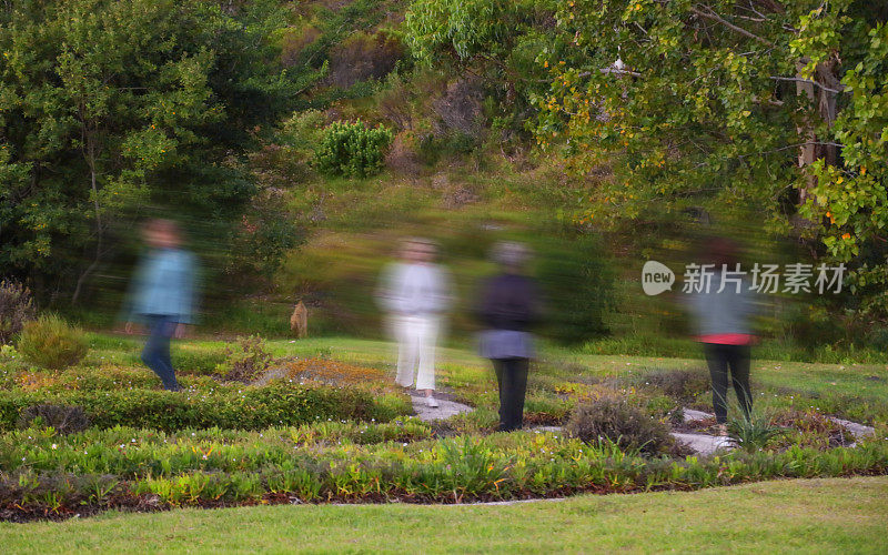 在静修中，一群无法辨认的女人走过花园的迷宫。