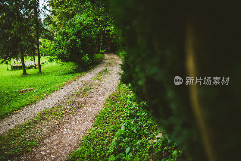 在一个雨天，森林附近的一条土路