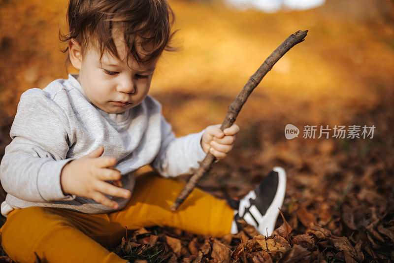 最好的游戏是我自己设计的