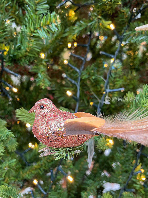 特写图像的个人，玫瑰金，闪闪发光的雀鸟装饰与长尾羽毛挂在人造圣诞树的树枝，云杉针，模糊的白色神仙灯的背景