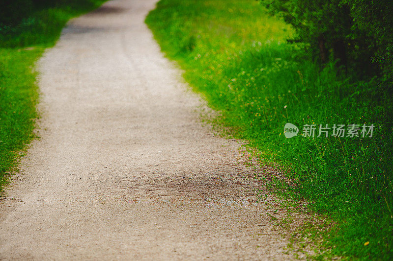 春天的步道