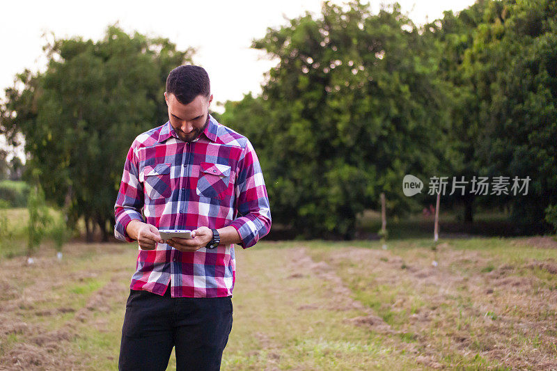 一个种植园里的男人。研究员。