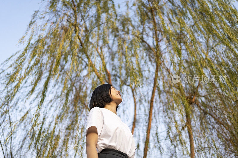 在美丽的柳树下眺望远方的亚洲妇女