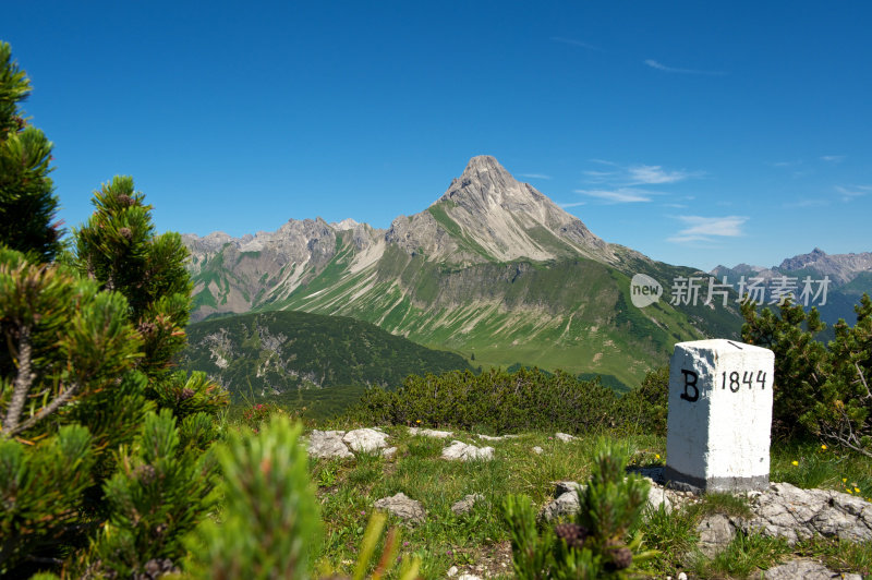 阿尔古阿尔卑斯山