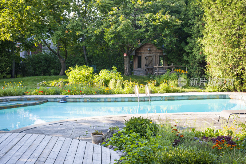 带游泳池的后院花园