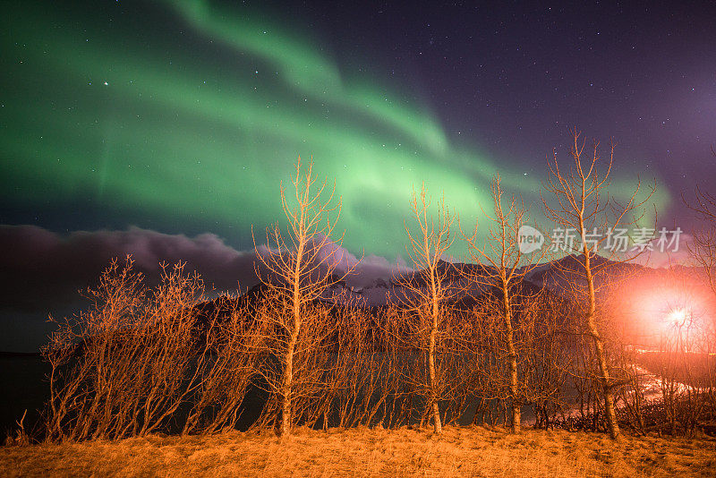 冰岛夜空中美丽的北极光。