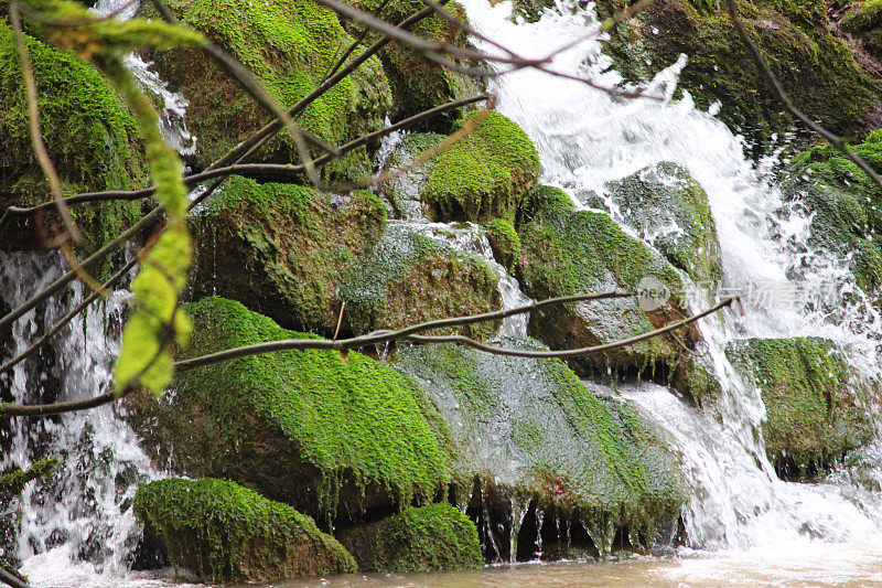 自然瀑布的图像，瀑布的水，在苔藓岩石上，进入溪流