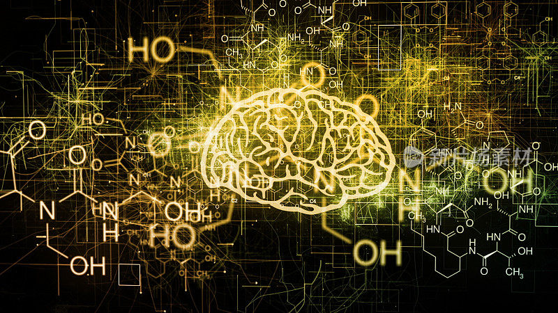 大脑的化学物质