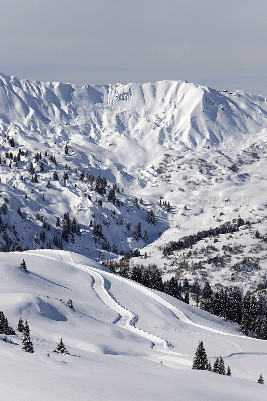 瑞士阿尔卑斯山的越野滑雪区