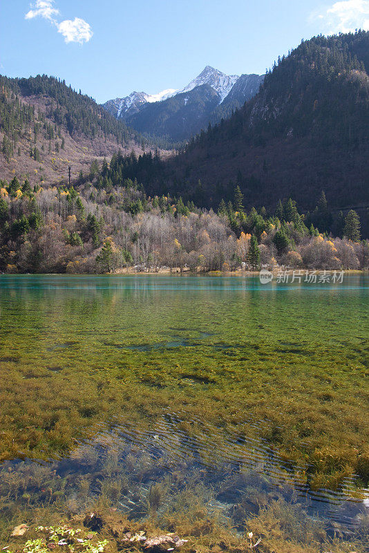 中国四川九寨沟的五彩湖