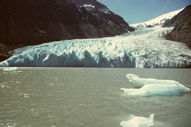 加拿大不列颠哥伦比亚省斯图尔特附近的熊冰川。