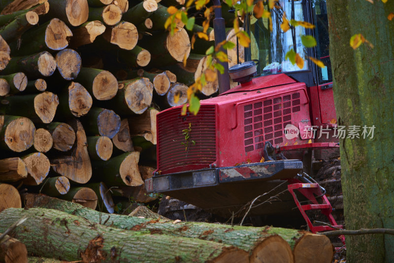 在森林中有树干的红色拖拉机的一部分