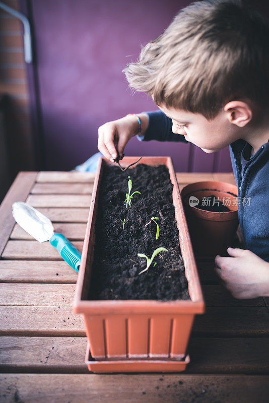 孩子照顾植物