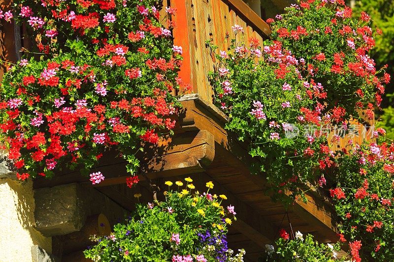 瑞士阿尔卑斯小木屋-山间小屋阳台满是鲜花