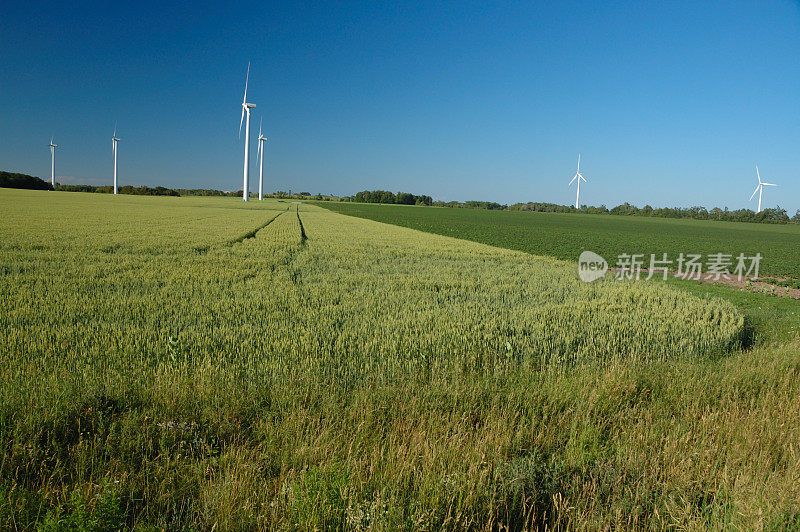 加拿大安大略省农村的绿色风电场
