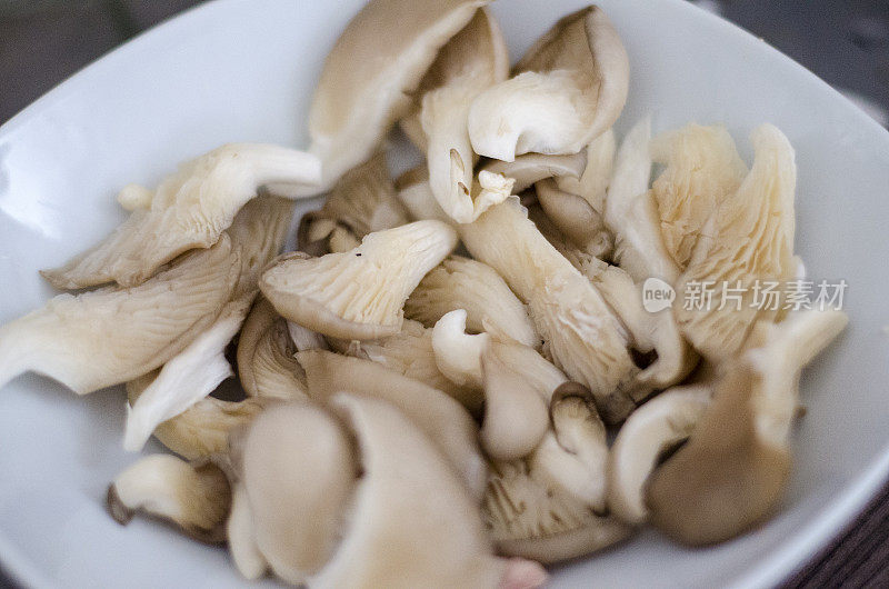 新鲜牡蛎蘑菇